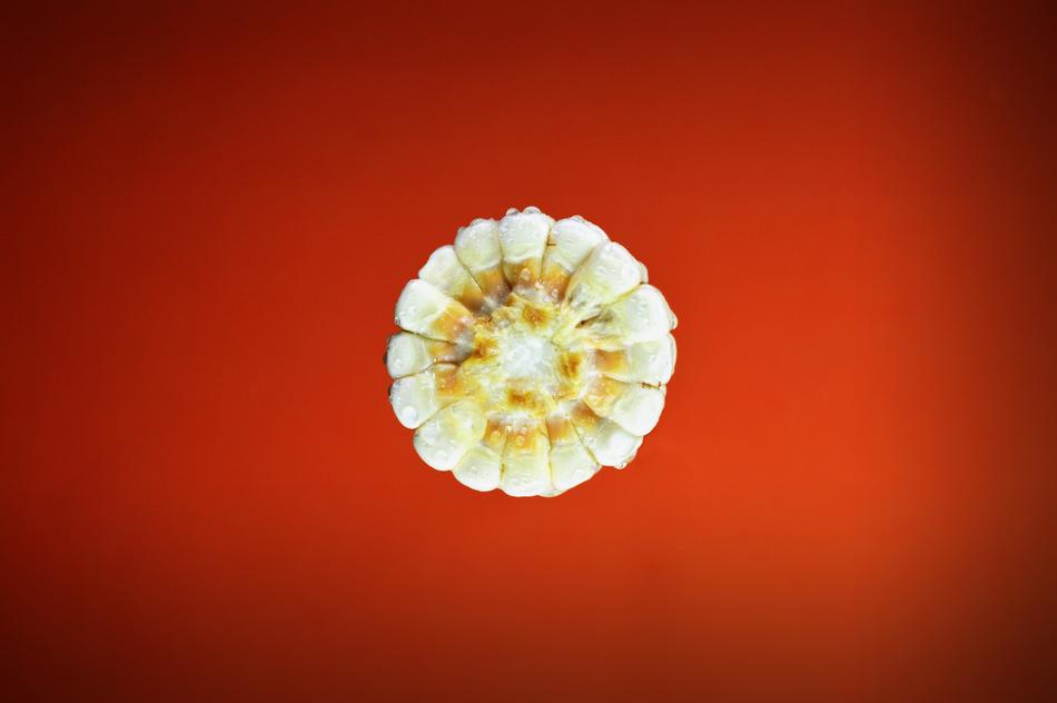 fresh vegetable white on a red background