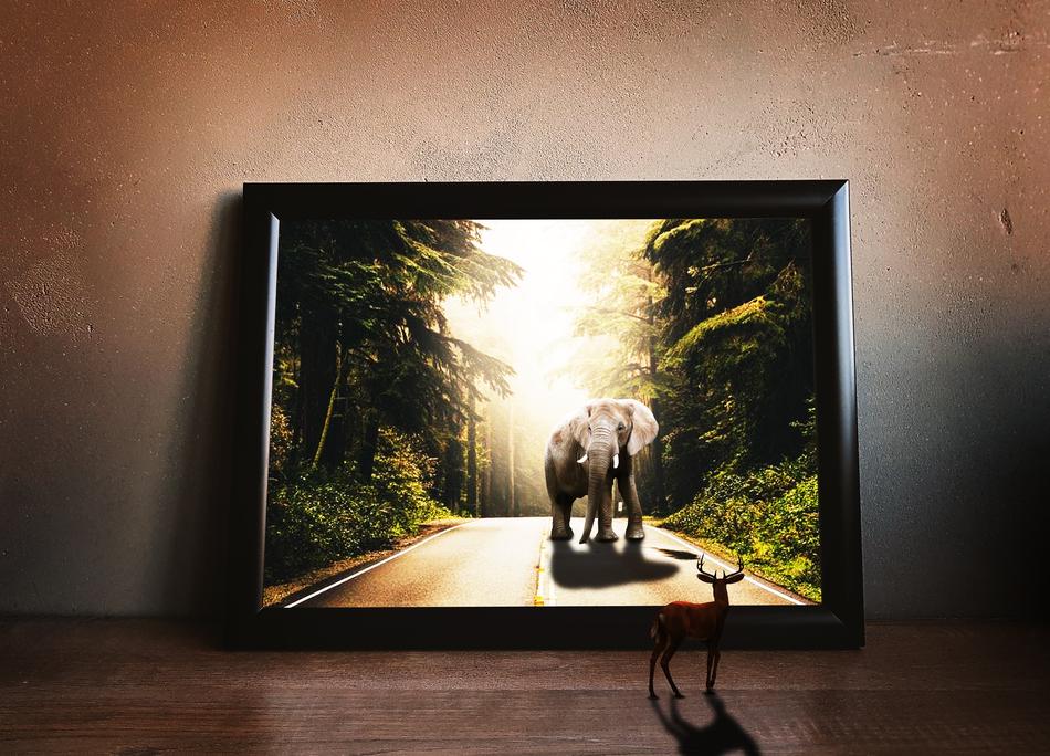 Animal Surrealism Landscape