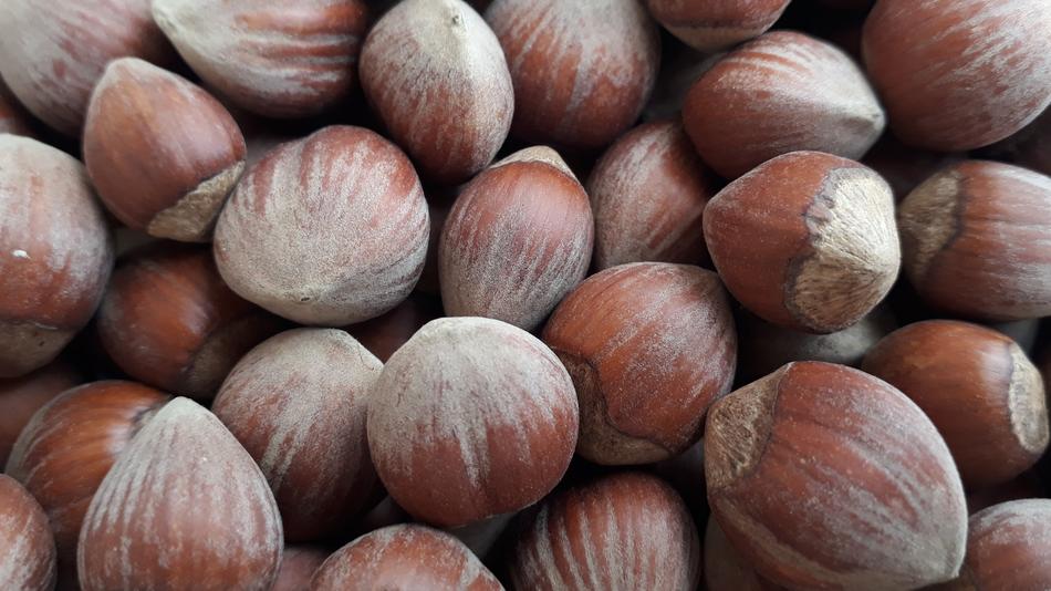 ripe hard nuts