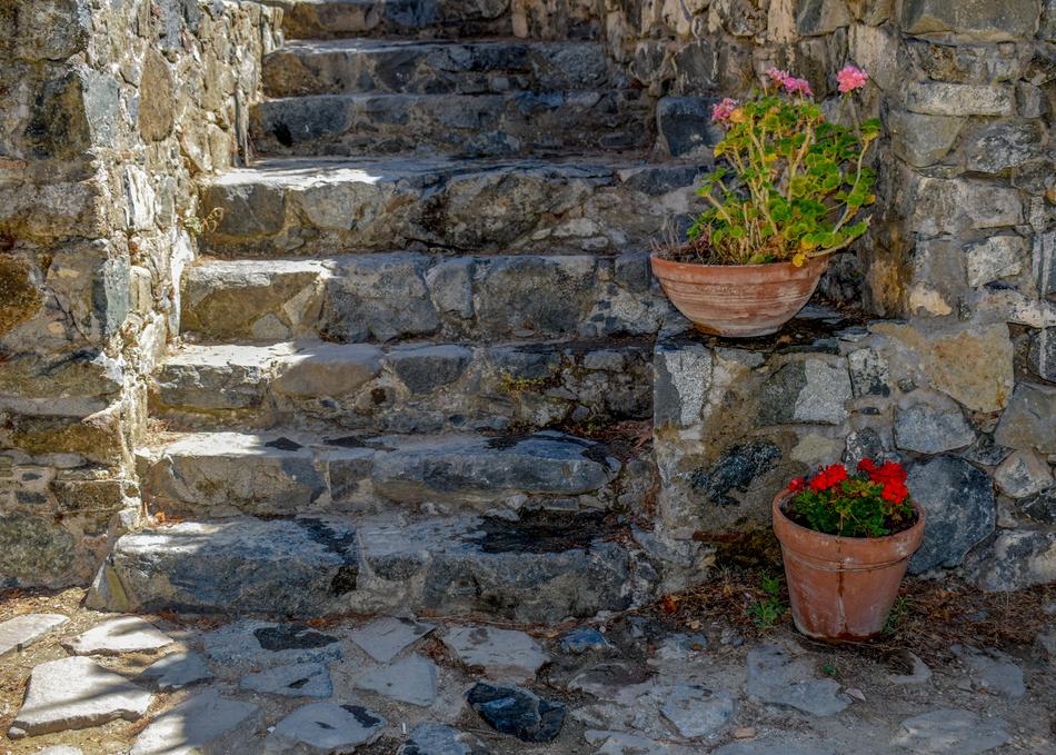 flowers near the stone stairs