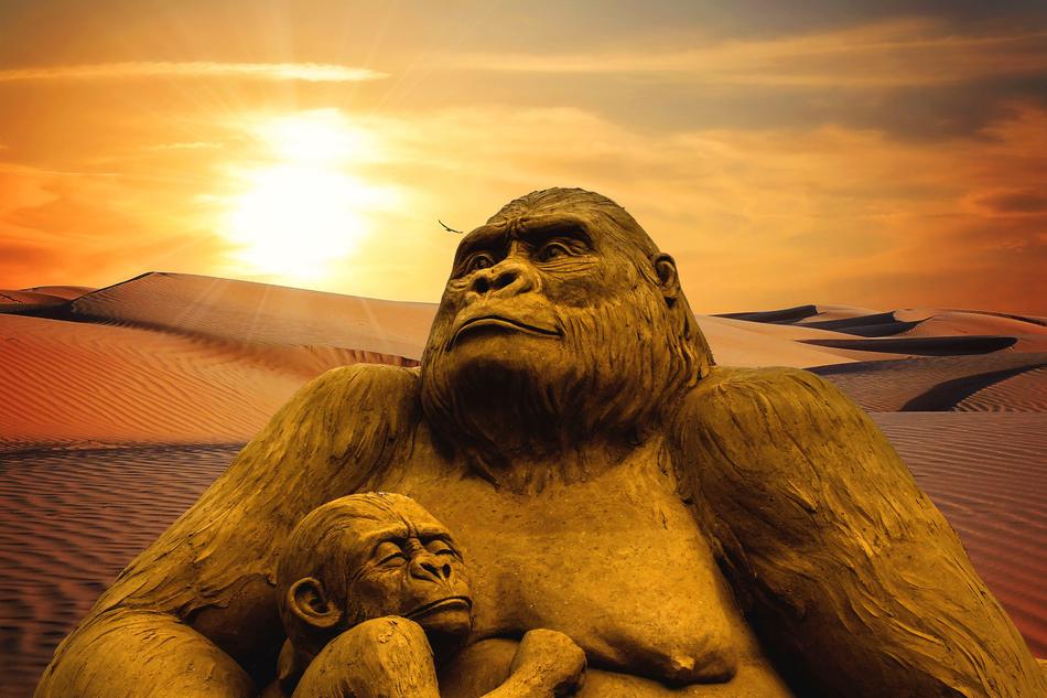 Monkey Desert Sunset