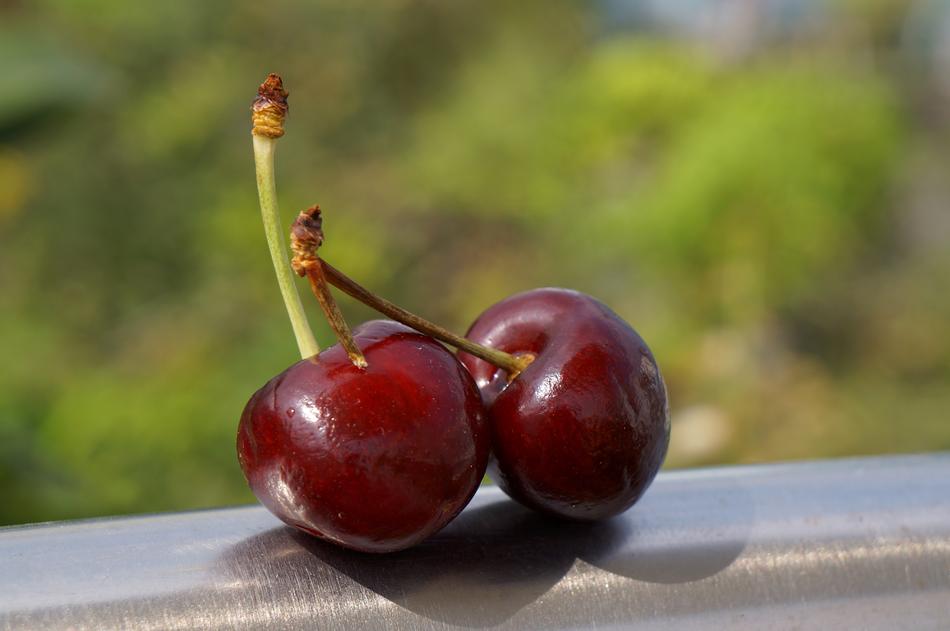 Ripe delicious red cherries
