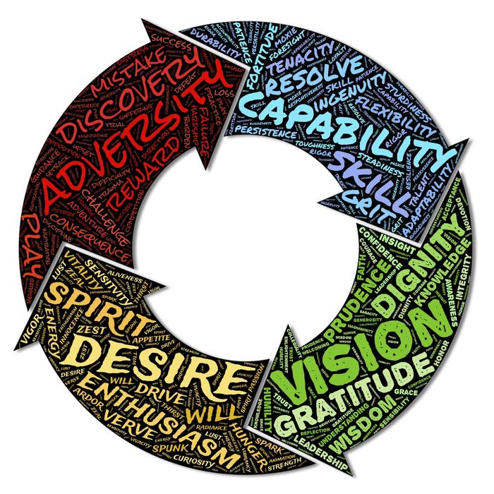 growth cycle human person