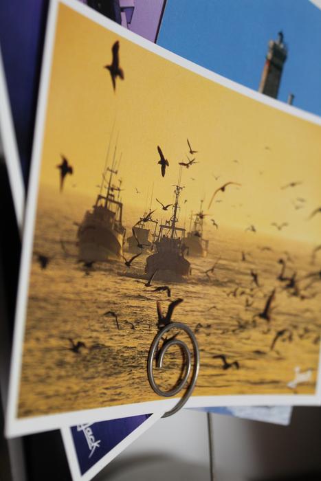 photo of ship with seagulls
