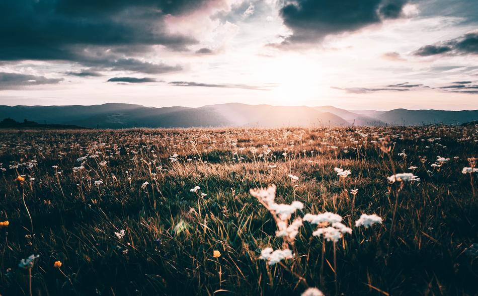 Vosges Sunset Hiking