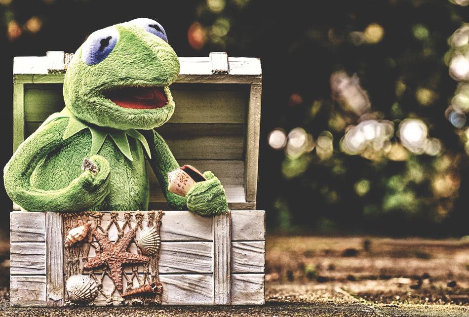 Kermit Frog Chest