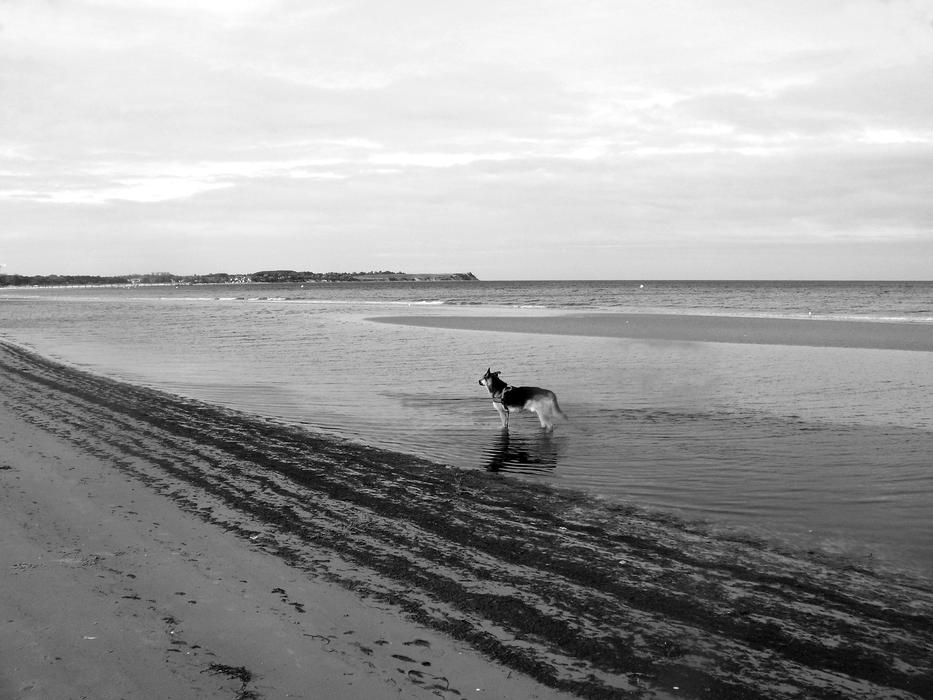 Baltic Sea Boltenhagen Panorama