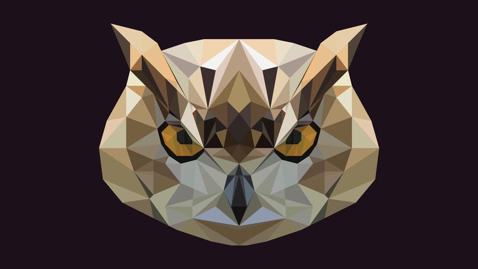 owl animal birds night wallpaper
