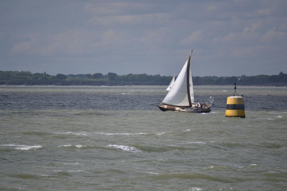 Sailboat Boat Sailing
