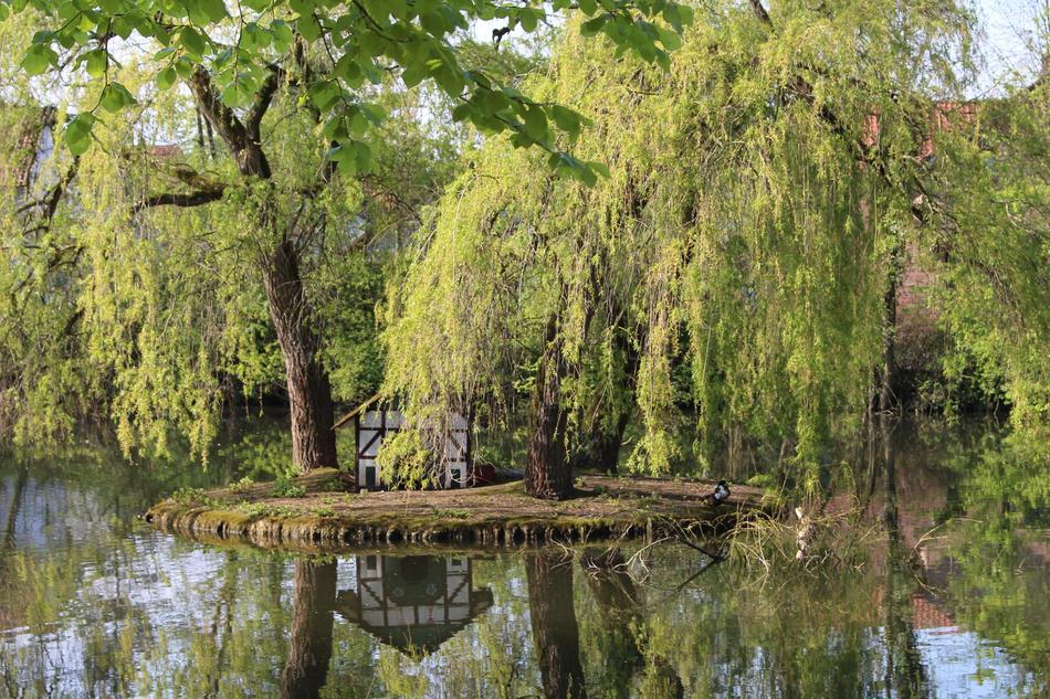 Duck Pond Spa Garden
