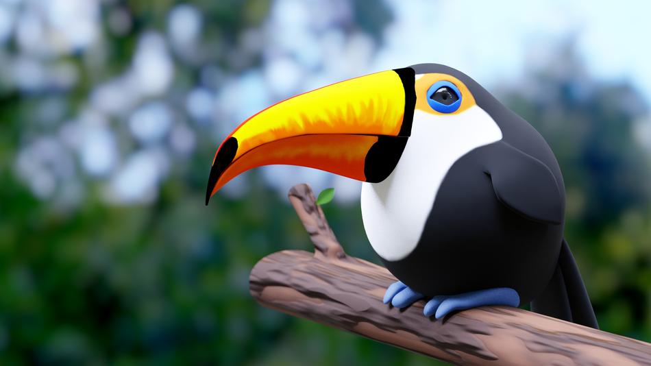 toucan bird avian cartoon