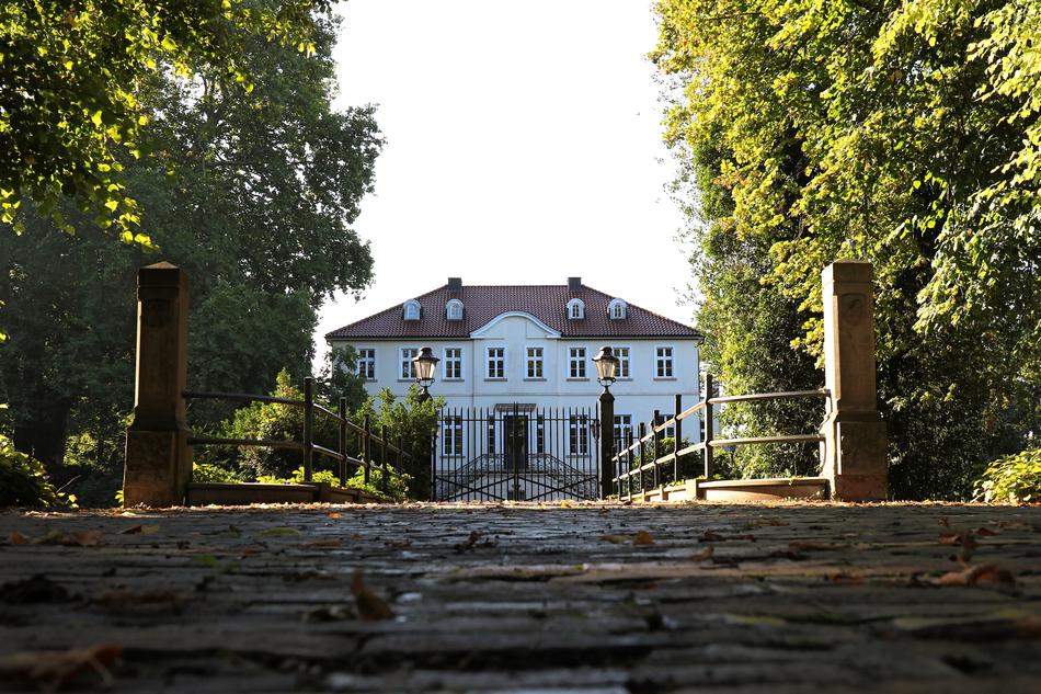 white tree house