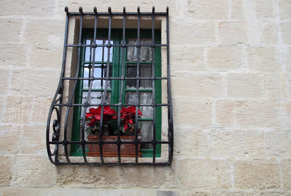 Windows in iron bars in flowers