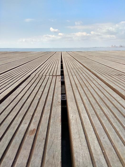 Sea Beach Wood
