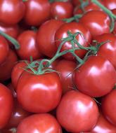 background of ripe juicy tomatoes