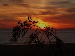 Sunset Evening Dusk