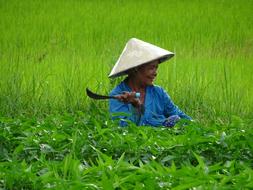 Travel Asia Cambodia