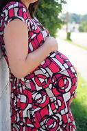 pregnant girl in a dress