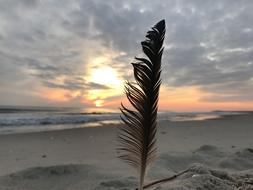 Feather Sunrise Beach
