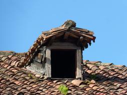 Little Window Roof Old