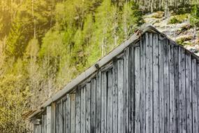 Roof Old House