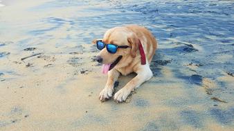 Water Beach Sea