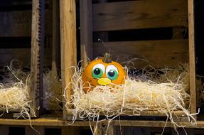pumpkin with its face drawn in the hay