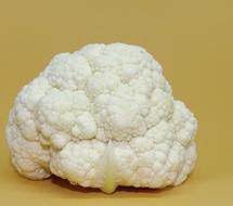 white ripe cabbage is delicious