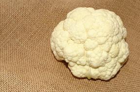 Healthy white cabbage on the table