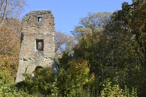 Burgruine Ruined Castle in forest