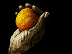 ripe fruit in hand