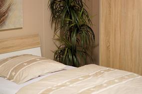 Bed Hotel Room