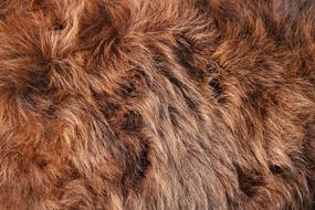 Kuhfell Red Brown Curly