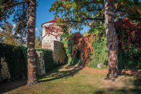 Park Castle Architecture
