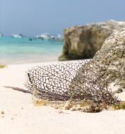 Mexico Sand Beach