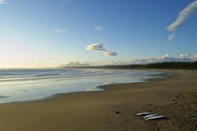 Ocean Beach Summer