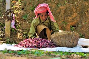 woman working on a farm