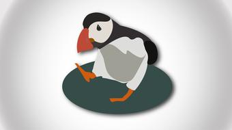 bird design art cute animal