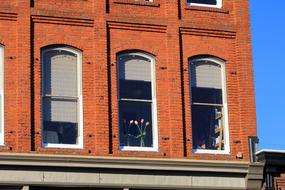 Brick Building Windows