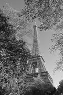 Eiffel Tower cityscape monochrome Photo