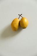 ripe lemons on a white background