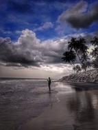 Beach Water Seashore
