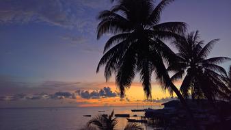 Sunset Beach The Sea