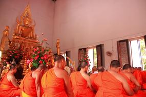 Buddhist Holy Day Monk Buddhism