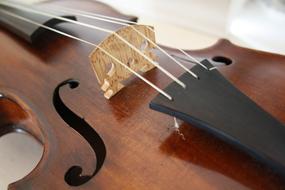 Stringed Instrument Violin