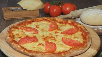 Tomato slices on a cheese pizza