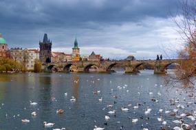 Prague Charles Bridge River view