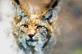 wild cat watercolor animal nature