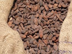 roasted coffee beans in a bag