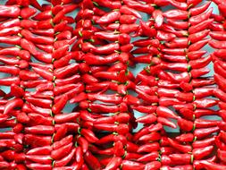 juicy hot peppers
